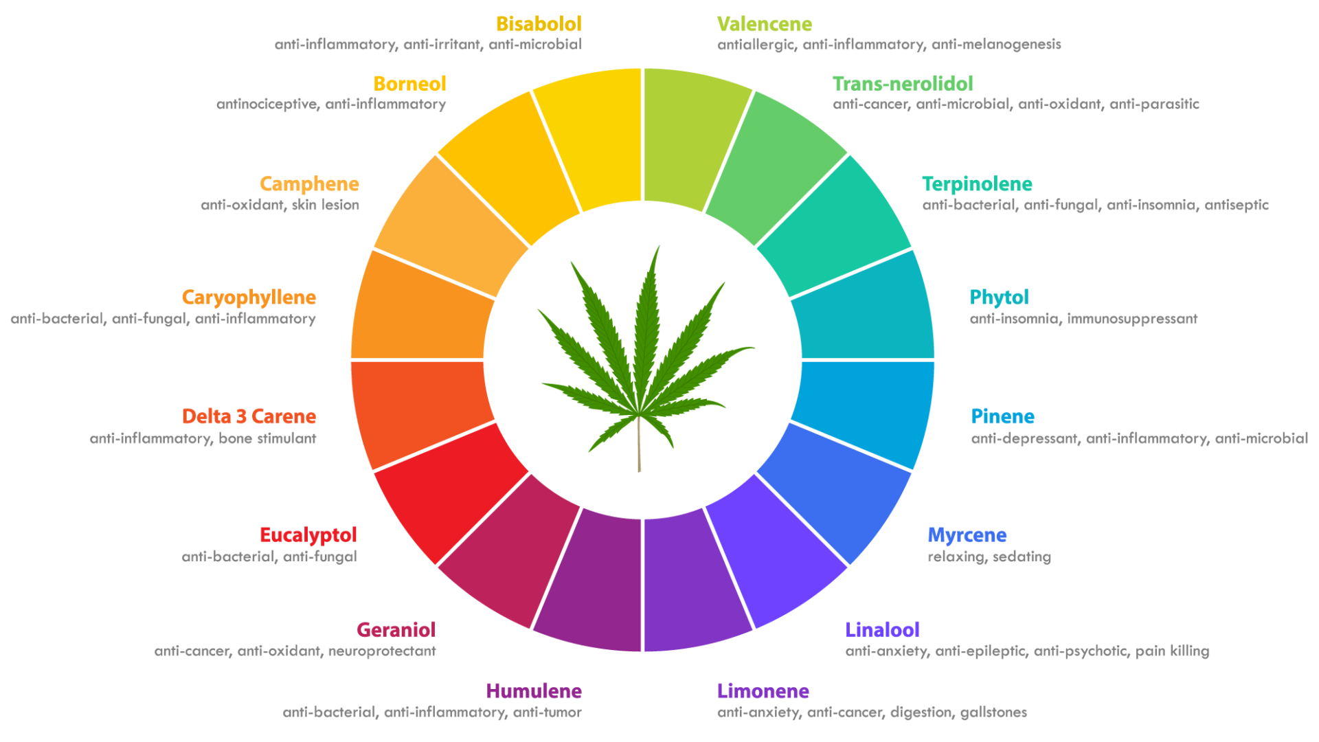 CBD Full Spectrum Oil - Vantage Hemp